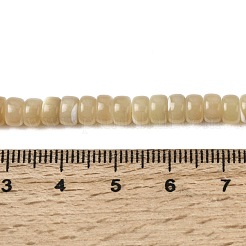 Natural Trochid Shell/Trochus Shell Beads Strands&nbsp;SSHEL-S266-019B-03