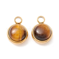 Natural Tiger Eye Charms&nbsp;G-K325-01G-01