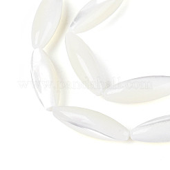 天然トロチッドシェル/トロカスシェルビーズ連売り  ライス  乳白色  18x6mm  穴：0.6mm  約22個/連  15.47''（39.3センチメートル）&nbsp;BSHE-T014-34