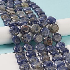 Natural Sodalite Beads Strands&nbsp;G-M403-C11