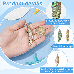 2Pcs Handmade Natrual Paua Shell Carved Big Pendants&nbsp;FIND-BC0013-54