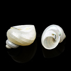 天然スパイラルシェルビーズ  穴がない  シェル  21~29x21~29x17~25mm&nbsp;X-SSHEL-N034-126