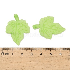 Frosted Acrylic Pendants&nbsp;FACR-G006-01C