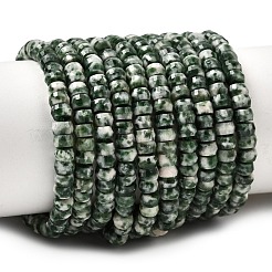 Natural Green Spot Jasper Heishi Beads Strands&nbsp;G-A299-A22-01