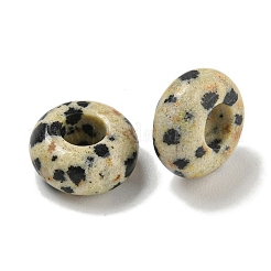 Natural Dalmatian Jasper Beads&nbsp;G-Q173-03A-24
