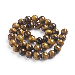 Round Tiger Eye Beads Strands&nbsp;Z0RQT013