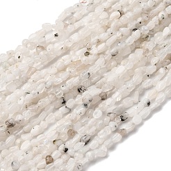 Natural Rainbow Moonstone Beads Strands&nbsp;G-I389-A36
