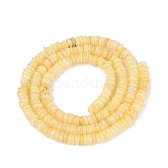 Natural Freshwater Shell Beads Strands&nbsp;SHEL-Q028-01B