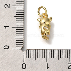 Rack Plating Brass Micro Pave Cubic Zirconia Charms&nbsp;KK-I720-31G