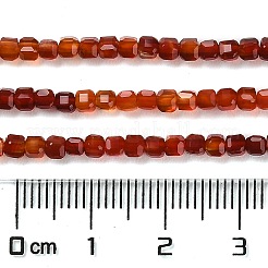 Natural Carnelian Beads Strands&nbsp;G-Q002-C01-02