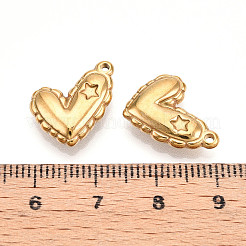 304 Stainless Steel Pendants&nbsp;STAS-N109-117G