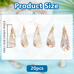20Pcs Electroplated Natural Freshwater Shell Pendants&nbsp;PALLOY-GO00064