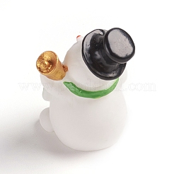 Resin Display Decorations&nbsp;RESI-WH0008-28O