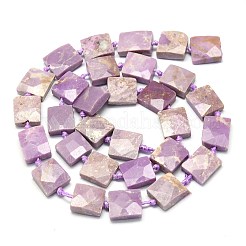 Natural Lepidolite Beads Strands&nbsp;G-G106-D04-02
