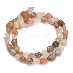 Natural Multi-Moonstone Beads Strands&nbsp;GG-CBAC61B-B03-02