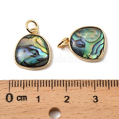 Natural Paua Shell Egg Pendants&nbsp;KK-G538-21G
