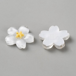 Resion Cabochons&nbsp;RESI-WH0038-36F