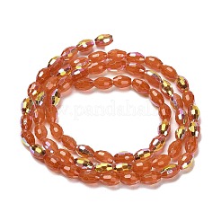 Baking Paint Glass Beads Strands&nbsp;DGLA-D001-02C