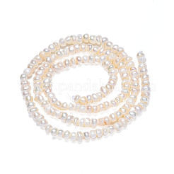 天然養殖淡水パール ビーズ 連  フラットラウンド  貝殻色  3~4x2.5~3mm  穴：0.6mm  約148~152個/連  14.09インチ〜14.25インチ（35.8~36.2cm）&nbsp;PEAR-N015-03B