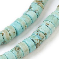 Natural Howlite Beads Strands&nbsp;X-G-P398-B01