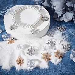 36Pcs 6 Style Alloy Pendants&nbsp;FIND-SC0004-63