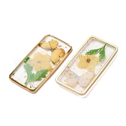 Brass & Transparent Epoxy Resin & Dried Flower Pendants&nbsp;RESI-G133-01G-04
