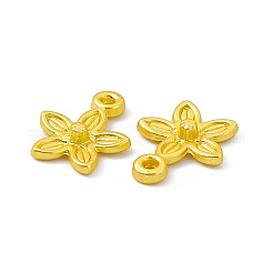 Rack Plating Alloy Charms&nbsp;FIND-G045-05MG