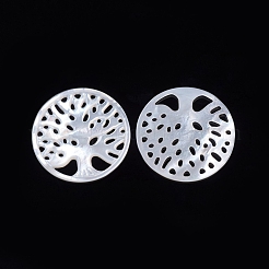 Natural White Shell Cabochons&nbsp;SSHEL-D083-05