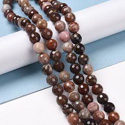 Natural Petrified Wood Beads Strands&nbsp;G-E571-27B