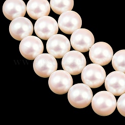 Electroplated Shell Pearl Beads Strands&nbsp;BSHE-C011-01D
