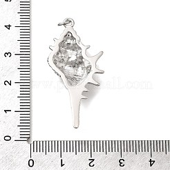 真鍮チャーム  巻き貝の形  丸カン付き  プラチナ  40.5x19x6.5mm  穴：3.5mm&nbsp;KK-Z125-05P