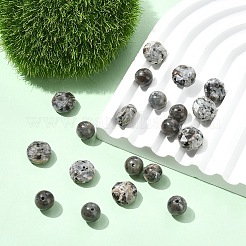 20Pcs 2 Styles Natural Fluorescent Syenite Rock(Glow under UV Light) Beads&nbsp;G-YW0002-81
