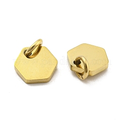 304 Stainless Steel Charms&nbsp;STAS-P356-01G