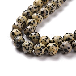 Natural Dalmatian Jasper Beads Strands&nbsp;G-Q462-10mm-30