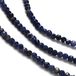 Natural Sodalite Beads Strands&nbsp;LS-G-RM2025-A19-2mm-B