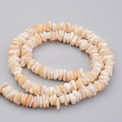 Natural Shell Bead Strands&nbsp;X-BSHE-P021-03