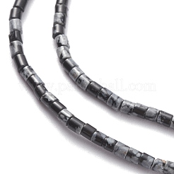 Natural Snowflake Obsidian Beads Strands&nbsp;G-H255-12