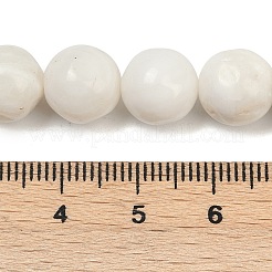Natural White Shell Beads Strands&nbsp;BSHE-U002-01