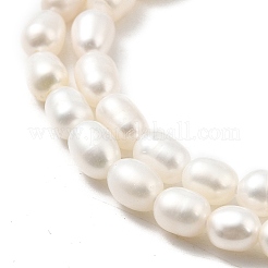 天然養殖淡水パールビーズ連売り  ライス  グレード6a+  古いレース  3~3.5mm  穴：0.5mm  約71~80個/連  13.98''~14.37''（35.5~36.5センチメートル）&nbsp;PEAR-I007-01O-01A