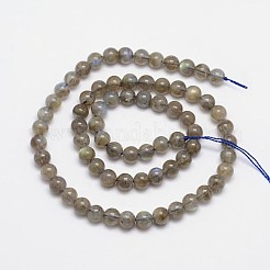 Natural Labradorite Round Bead Strands&nbsp;G-M262-5mm-09