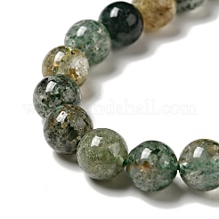 Natural Fuchsite Beads Strands&nbsp;G-K285-40B-1