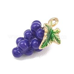 Fruit Alloy Enamel Pendants&nbsp;ENAM-P264-02G-G03