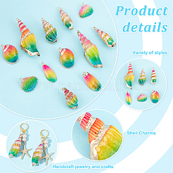 12Pcs 6 Styles Electroplated Natural Mixed Shell Big Pendants&nbsp;SSHEL-GA0001-06