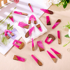 20Pcs 10 Styles Resin & Wood Pendants&nbsp;WOOD-TA0002-67B