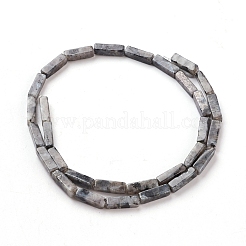 Natural Black Larvikite Beads Strands&nbsp;G-G837-17