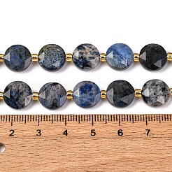 Natural Dumortierite Beads Strands&nbsp;G-C116-A113-01