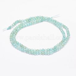 Natural Apatite Beads Strands&nbsp;G-F460-41