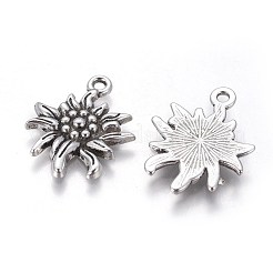 Tibetan Style Alloy Pendants&nbsp;TIBEP-A113357-AS-FF