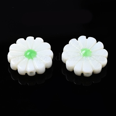 Natural Freshwater Shell Beads&nbsp;SHEL-N026-143A-149C-1