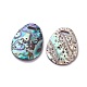 Paua Shell Pendants&nbsp;SSHEL-L012-07-2